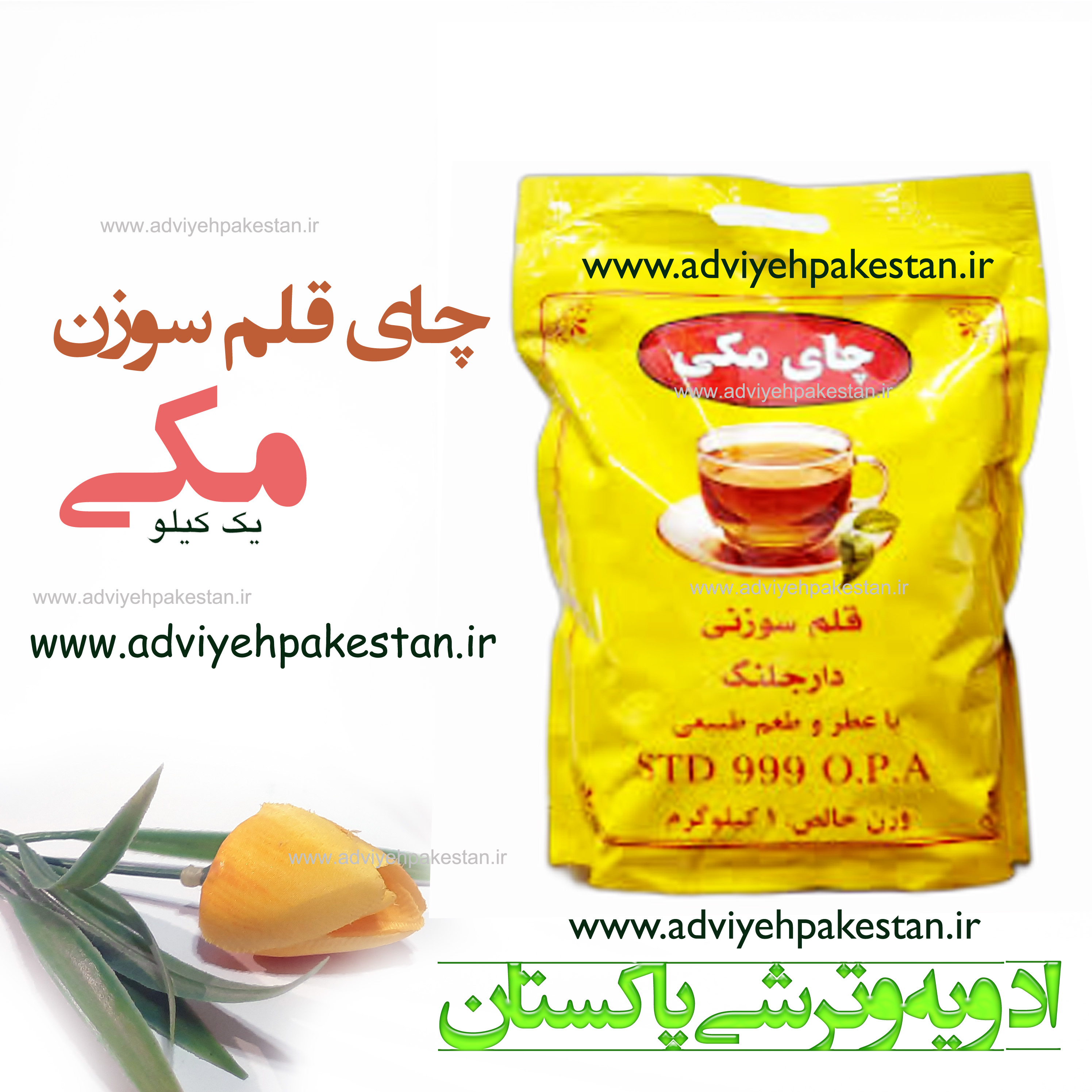 جای قلم مکی