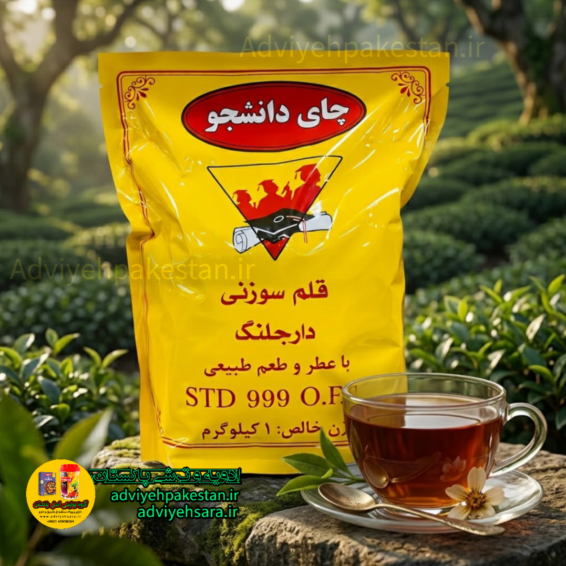 چای قلم سوزنی دانشجو دارجیلینگ یک کیلوئی